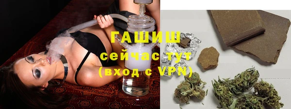 стаф Няндома