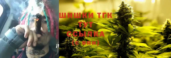 хмурый Абаза