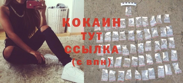 хмурый Абаза