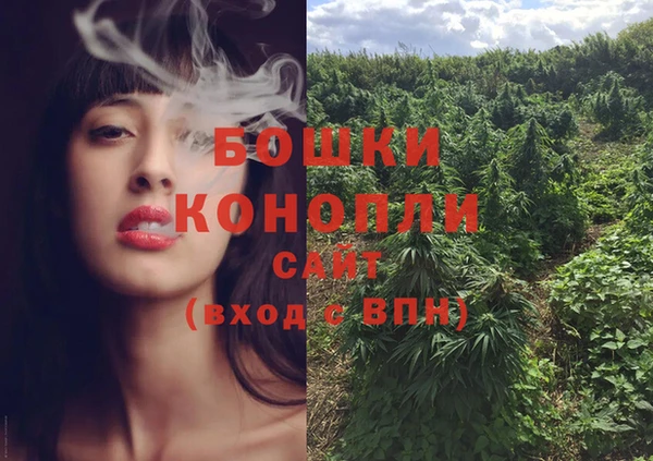 хмурый Абаза