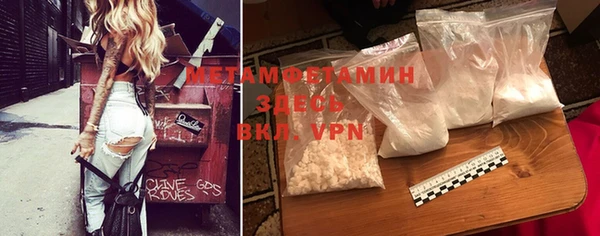прущие грибы Нягань