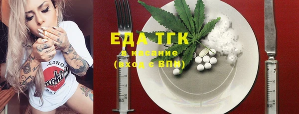 хмурый Абаза